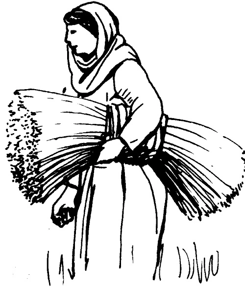 Rúuti Moháabɩ ɖoŋu búu