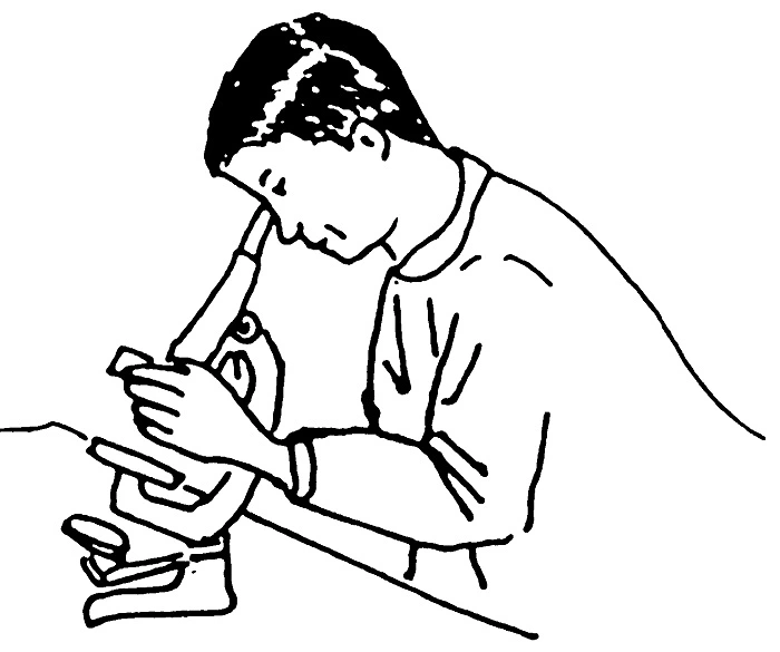 Acɛ wáá átóówámɩ ɖɩbɔɔrɩ